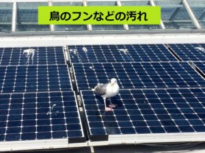 鳥のフンが付着したパネル